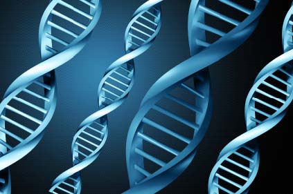 SigNature T DNA System